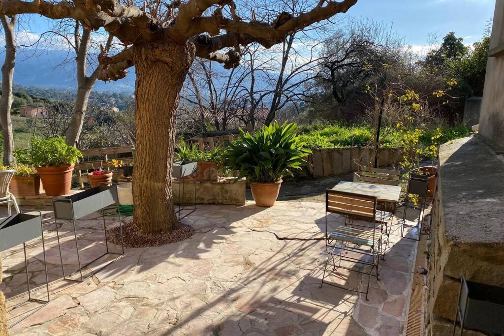 Maison typique corse à 10 min d'Ajaccio et plages Alata Esterno foto