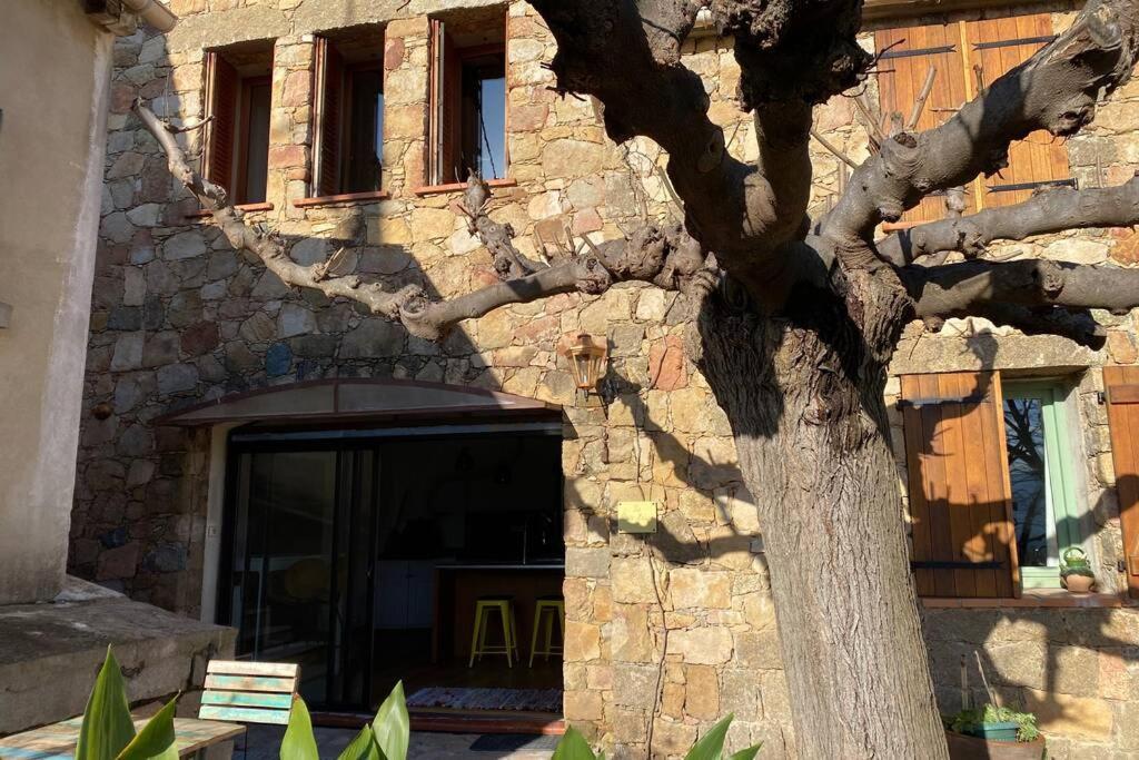 Maison typique corse à 10 min d'Ajaccio et plages Alata Esterno foto